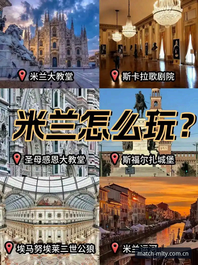 米兰体育平台对比完整指南：新手如何快速上手与选择